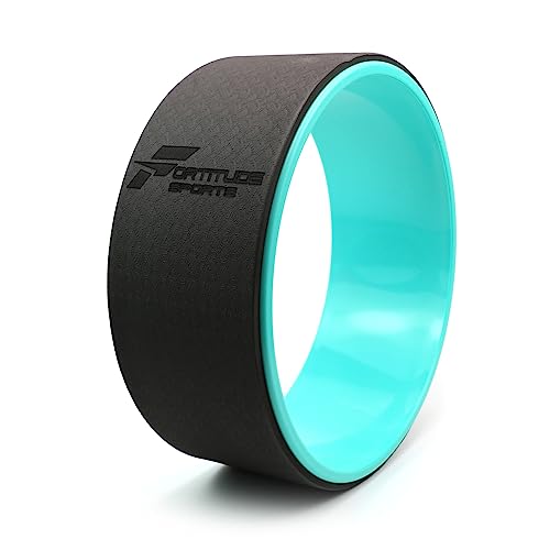 Fortitude Sports Yoga Wheel For Stretching, Flexibility, Pilates, Yoga Poses, Backbends
